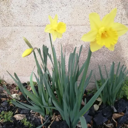 Petite Maison A La Campagne Avec Exterieur